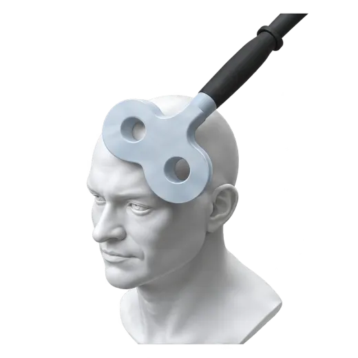 Figure-8 coil positioned against one spot on the scalp of a head model